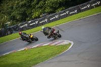 Lower Group Black Bikes